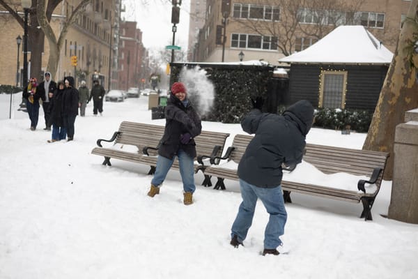 Rittenhop Snow-pocalypse